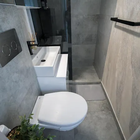 Lucky 26 - Cismigiu Sunny Haven