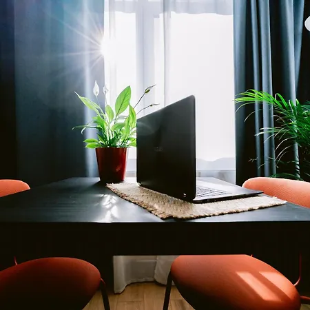 Lucky 26 - Cismigiu Sunny Haven 布加勒斯特